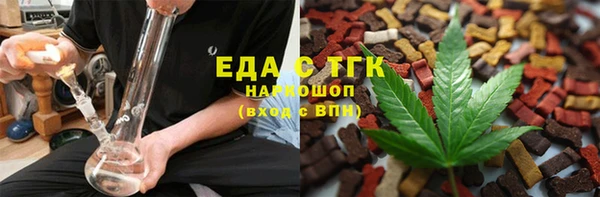 дживик Ельня