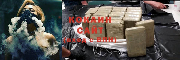 дживик Ельня
