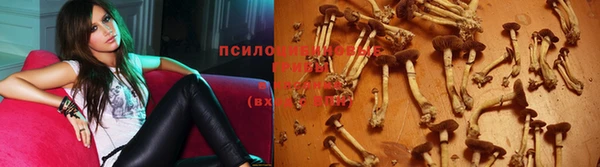 метамфетамин Дмитриев