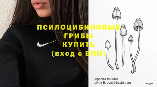 эйфоретик Дмитров