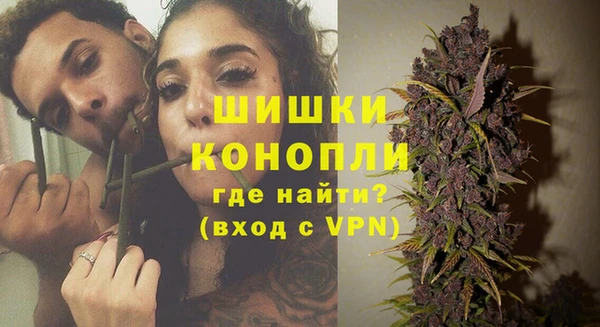 дживик Ельня