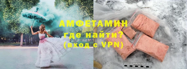 дживик Ельня