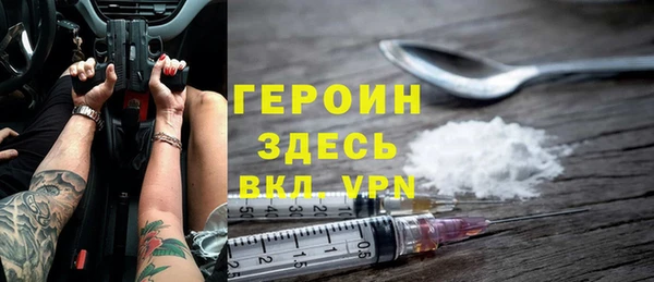 дживик Ельня