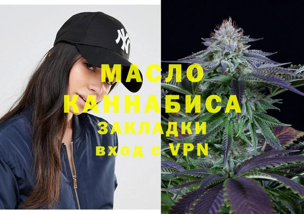 дживик Ельня